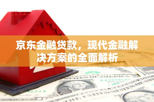 清流京东金融贷款，现代金融解决方案的全面解析