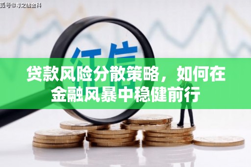 清流贷款风险分散策略，如何在金融风暴中稳健前行