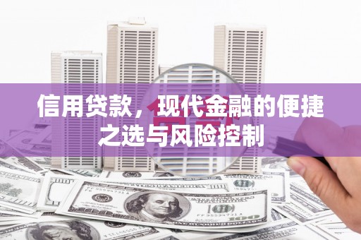 清流信用贷款，现代金融的便捷之选与风险控制