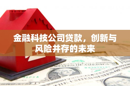 清流金融科技公司贷款，创新与风险并存的未来