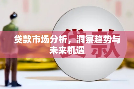 清流贷款市场分析，洞察趋势与未来机遇