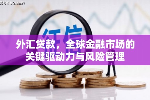 清流外汇贷款，全球金融市场的关键驱动力与风险管理