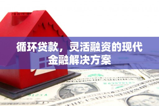 清流循环贷款，灵活融资的现代金融解决方案