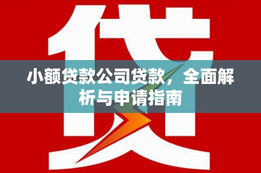 清流小额贷款公司贷款，全面解析与申请指南