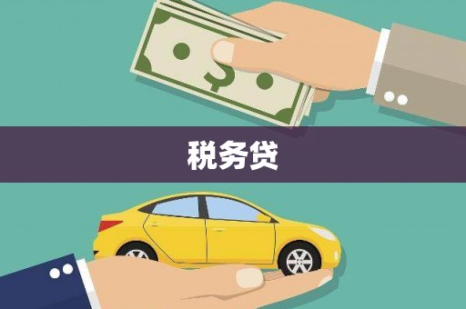 清流税务贷