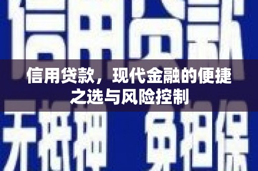 清流信用贷款，现代金融的便捷之选与风险控制