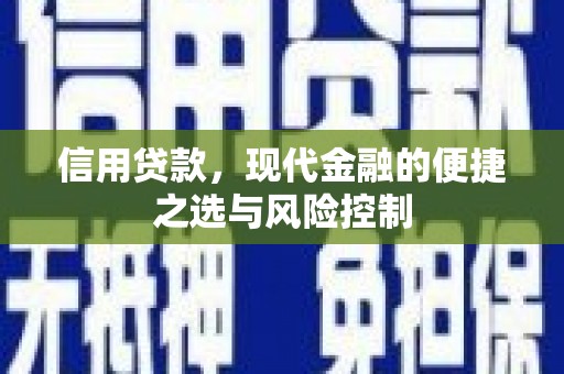 清流信用贷款，现代金融的便捷之选与风险控制