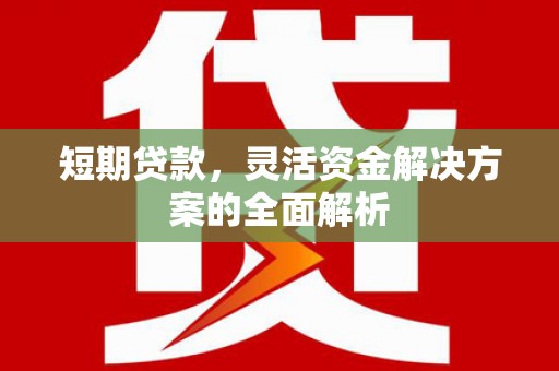 清流短期贷款，灵活资金解决方案的全面解析