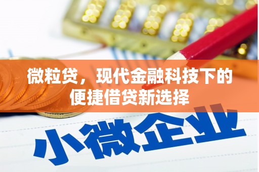 清流微粒贷，现代金融科技下的便捷借贷新选择