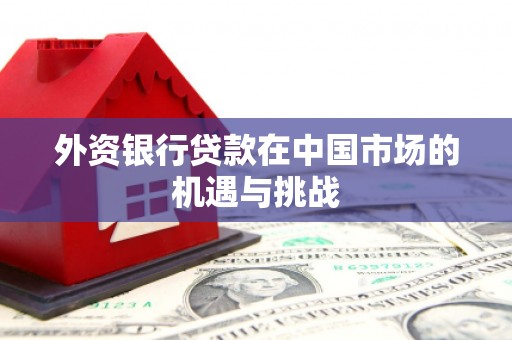 清流外资银行贷款在中国市场的机遇与挑战