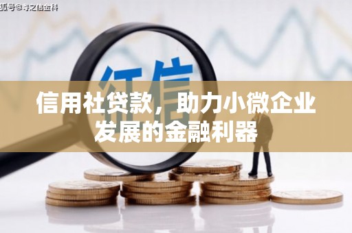 清流信用社贷款，助力小微企业发展的金融利器