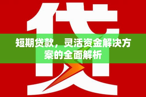清流短期贷款，灵活资金解决方案的全面解析