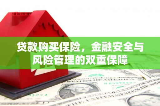 清流贷款购买保险，金融安全与风险管理的双重保障