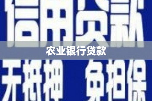 清流农业银行贷款
