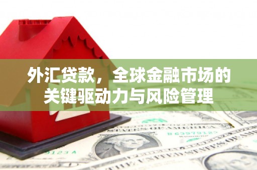 清流外汇贷款，全球金融市场的关键驱动力与风险管理