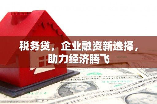 清流税务贷，企业融资新选择，助力经济腾飞