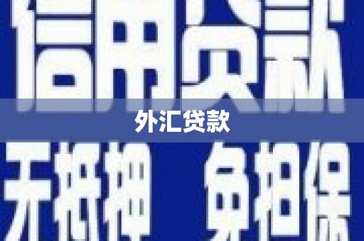 清流外汇贷款