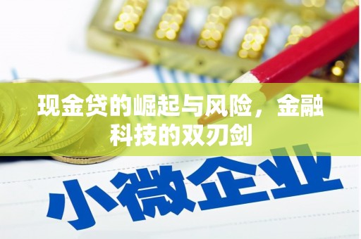 清流现金贷的崛起与风险，金融科技的双刃剑