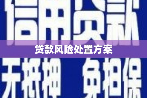 清流贷款风险处置方案