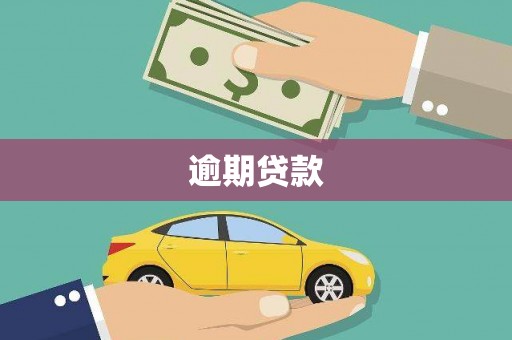 清流逾期贷款