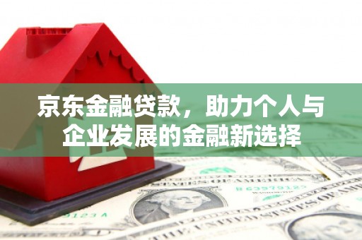 清流京东金融贷款，助力个人与企业发展的金融新选择