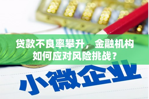清流贷款不良率攀升，金融机构如何应对风险挑战？