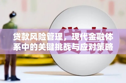 清流贷款风险管理，现代金融体系中的关键挑战与应对策略