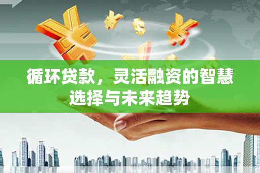 清流循环贷款，灵活融资的智慧选择与未来趋势