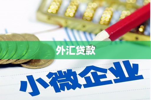 清流外汇贷款