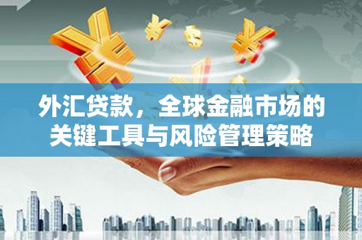 清流外汇贷款，全球金融市场的关键工具与风险管理策略