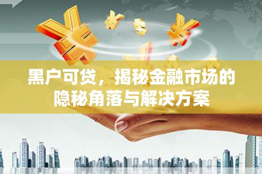 清流黑户可贷，揭秘金融市场的隐秘角落与解决方案