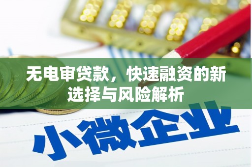 清流无电审贷款，快速融资的新选择与风险解析