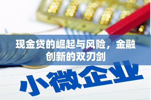 清流现金贷的崛起与风险，金融创新的双刃剑