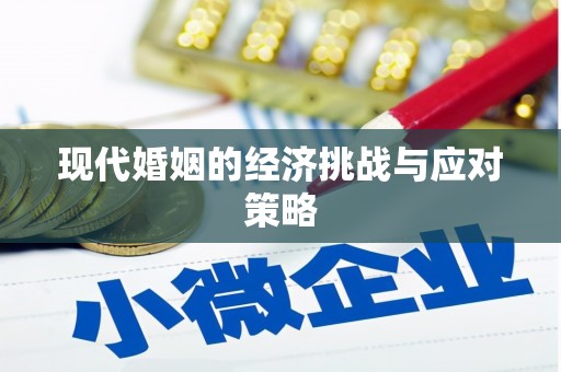 清流现代婚姻的经济挑战与应对策略