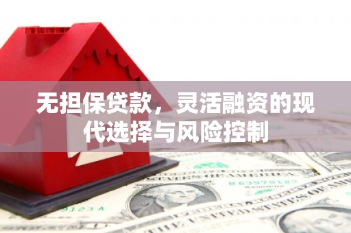 清流无担保贷款，灵活融资的现代选择与风险控制