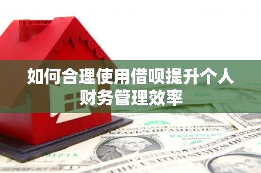 清流如何合理使用借呗提升个人财务管理效率