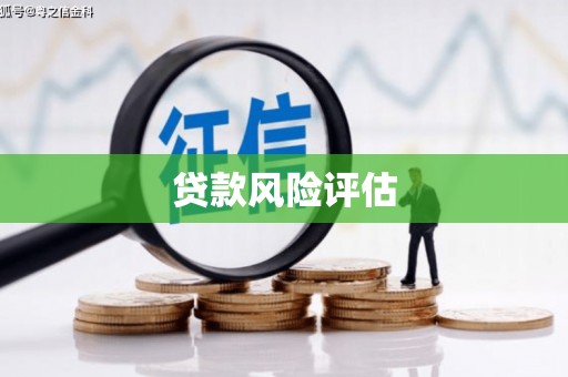 清流贷款风险评估