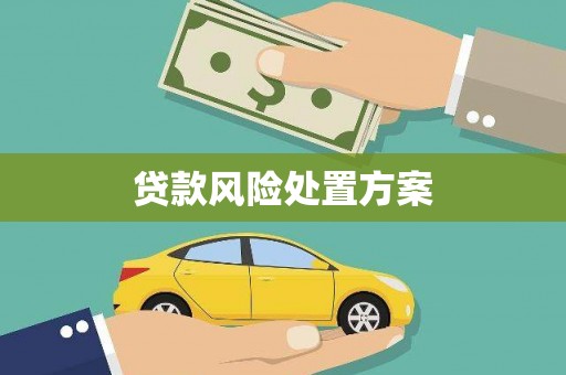 清流贷款风险处置方案