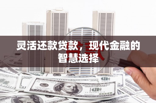清流灵活还款贷款，现代金融的智慧选择