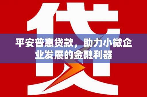 清流平安普惠贷款，助力小微企业发展的金融利器