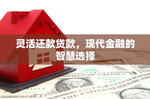 清流灵活还款贷款，现代金融的智慧选择
