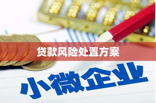 清流贷款风险处置方案