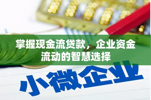 清流掌握现金流贷款，企业资金流动的智慧选择