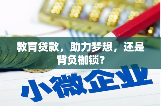 清流教育贷款，助力梦想，还是背负枷锁？