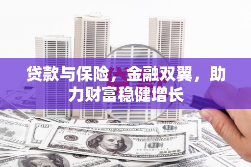 清流贷款与保险，金融双翼，助力财富稳健增长