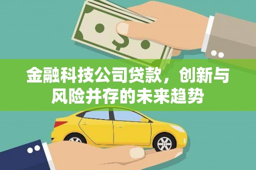 清流金融科技公司贷款，创新与风险并存的未来趋势