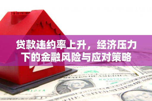 清流贷款违约率上升，经济压力下的金融风险与应对策略