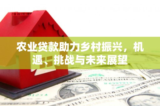 清流农业贷款助力乡村振兴，机遇、挑战与未来展望