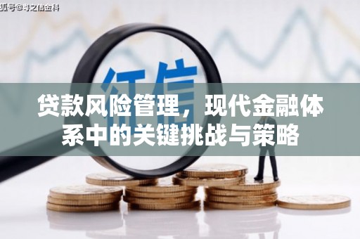清流贷款风险管理，现代金融体系中的关键挑战与策略