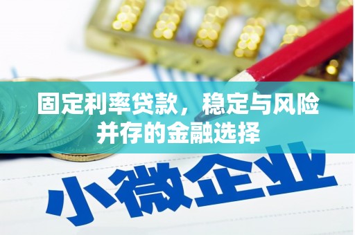 清流固定利率贷款，稳定与风险并存的金融选择